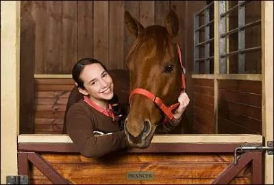 Quel est ce cheval ? A qui appartient-il ou qui s'en est occupé ?