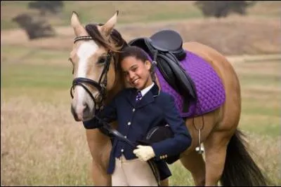 Quel est ce cheval ? A qui appartient-il ou qui s'en est occupé ?