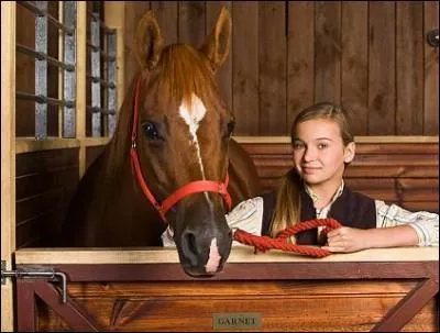 Quel est ce cheval ? A qui appartient-il ou qui s'en est occupé ?