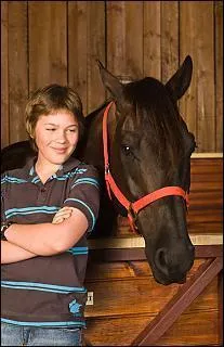 Quel est ce cheval ? A qui appartient-il et/ou qui s'en est occupé ?