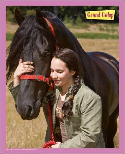 Quel est ce cheval ? A qui appartient-il ou qui s'en est occupé ?