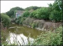 Ce cinéaste français, Jean Du---- unit « la plus grande sottise à une funeste abjection morale. ».