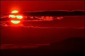 Le jujubier est originaire des pays subtropicaux et tropicaux de l'ancien et du nouveau monde.