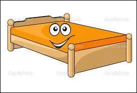 Dans quel type de lits dorment Peppa et son petit frère ?