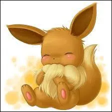 Combien Evoli a-t-il de transformations ?