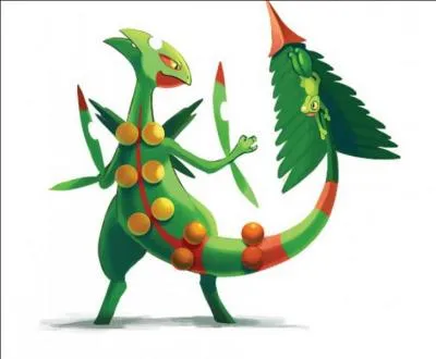 De quel type est ce Pokémon avec sa Méga-Évolution ?