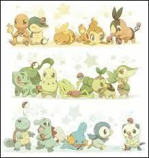 Quels sont les Starters de la 2G ?