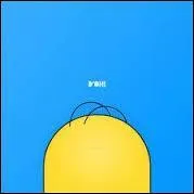 Combien de cheveux a Homer sur sa tête ?