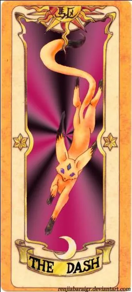 Comment s'appelle cette carte ?