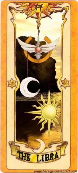 Comment s'appelle cette carte ?