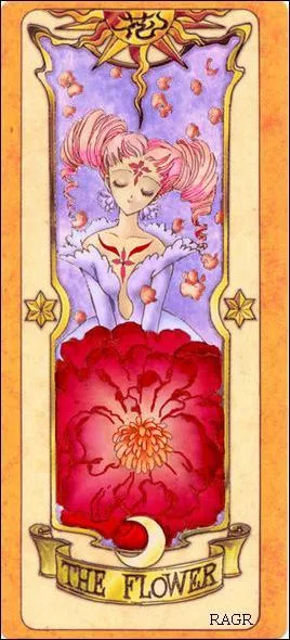 Comment s'appelle cette carte ?