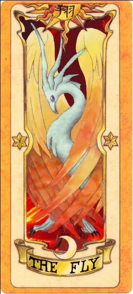 Comment s'appelle cette carte ?