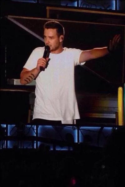 Quelle est la phobie de Liam ?