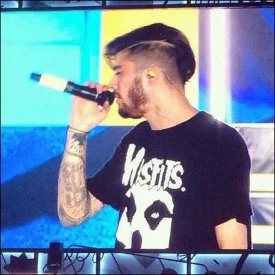 Avec quelle chanson Zayn a-t-il auditionné à X Factor ?