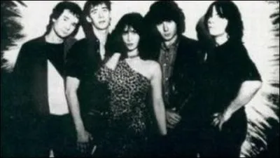 De quel groupe Corine et Louis ont-ils fait partie ?