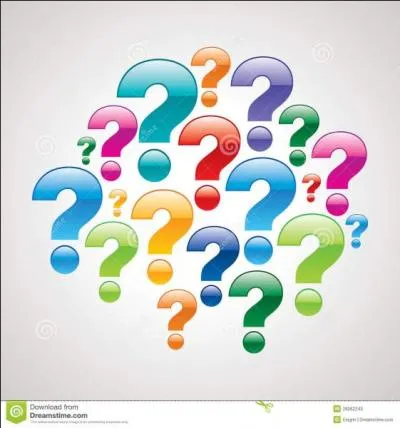 Dans un premier temps, quel a été le nom de Téléphone ?