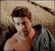 Sur l'image, vous pouvez voir :