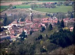 Dans quel département se situe Saint-Amour ?