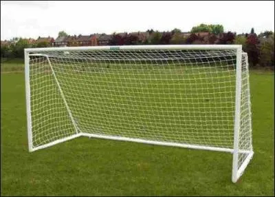 Quel est le gardien de l'équipe d'Algérie en 2014 ?