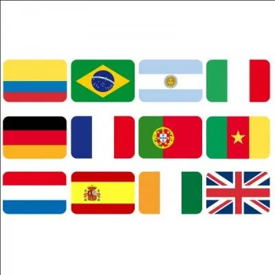 Quel sont les 4 pays a avoir organiser 2 fois la coupe du monde ?