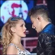 Par qui Fedemila est-il composé ?