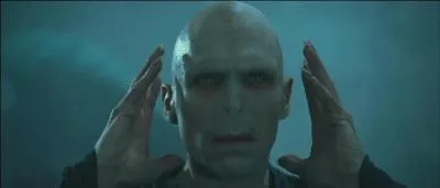 Qu'a fait Voldemort après avoir obtenu sa BUSE et tous ses ASPIC ?