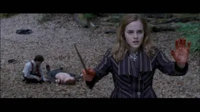 Quel est l'épouvantard d'Hermione Granger ?