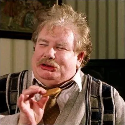 Vernon Dursley travaille dans...