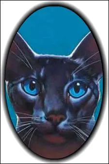 Combien d'enfants a Plume de Jais ?