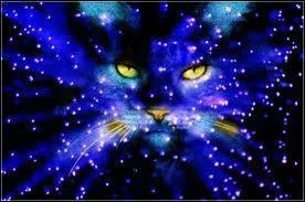 Petite Feuille a un pelage :