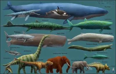 Trouvez le mot correspondant à l'image !