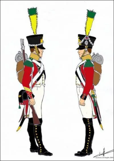 Cette unit d'lite, reconnue par Napolon, a la particularit d'tre plus petite. Ce sont les :