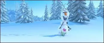 Comment s'appelle le bonhomme de neige d'Elsa ?