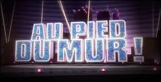 En mai 2015, combien de jokers sont disponibles dans le jeu t&eacute;l&eacute;vis&eacute; &laquo; Au pied du mur ! &raquo; ?