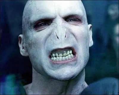 Que recherche Voldemort ?
