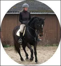 Qu'est-ce qu'une rêne contraire ou rêne d'appui ?