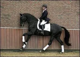 Pour partir au galop sur le bon pied, que faut-il faire ?