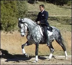 Si je galope à gauche en étant à main droite :