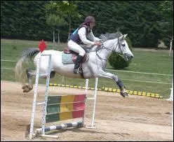 Parmi ces obstacles, lequel n'existe pas ?