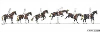 Parmi ces phases du saut, laquelle n'existe pas ?