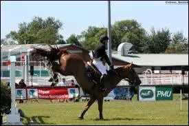 Pendant la réception d'un obstacle :