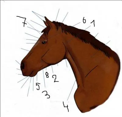 Les numéros 1, 2, 3 et 4 correspondent :