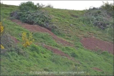 Et la dernière, la plus difficile ! Enfin, les plus difficiles ! Ce sont :