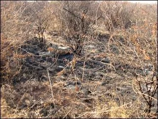 Celui-là est un peu plus difficile à trouver. C'est :