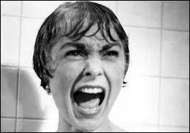 Quand une personne a très peur de quelque chose, on dit qu'elle a une...