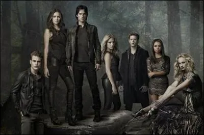 Dans quelle autre série célèbre peut-on voir cette actrice dans le rôle de Rebekah Mikaelson ?