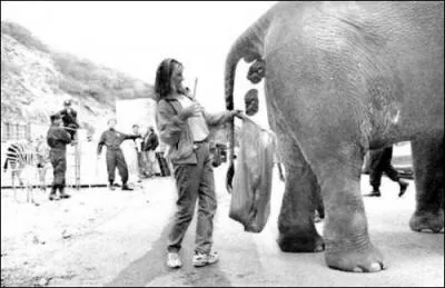 Trouvez la phrase correspondante à la photo !