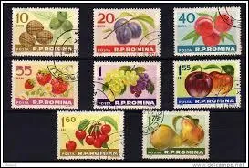 Observez attentivement l'image ci-contre. Quels sont les fruits que l'on n'y trouve pas ?