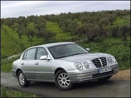 Pouvez-vous me donner le nom de cette voiture ?