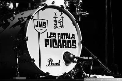 Dans la chanson ''Noir(s)'' , Mano Negra, Bérurier Noir et Noir Désir sont les trois groupes auxquels les Fatals Picards rendent hommage. Comme son nom l'indique, ce groupe a été créé à...